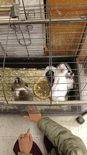 Pet Supply Store «Whiteway Pet Shop», reviews and photos, 950 Elizabeth Ave, Elizabeth, NJ 07201, USA