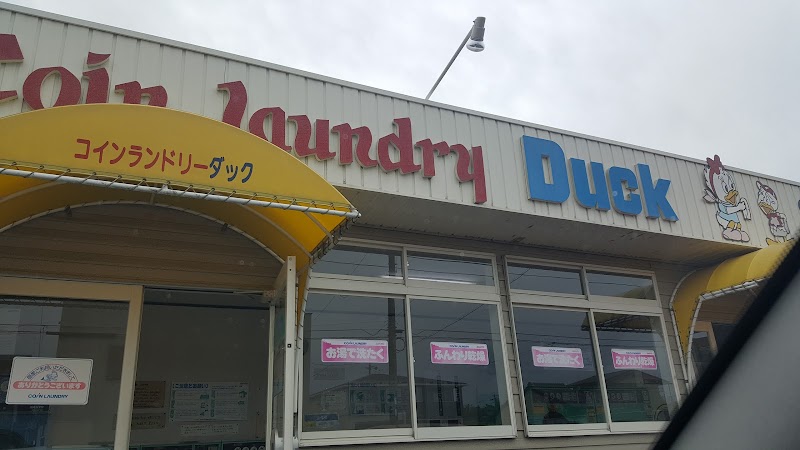 Coin Laundry Duck