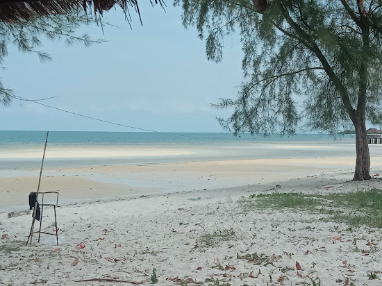 Sea Beach