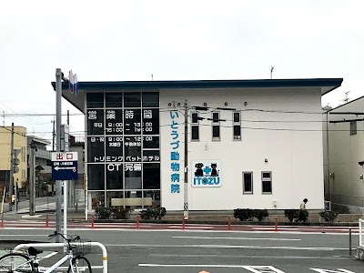 いとうづ動物病院