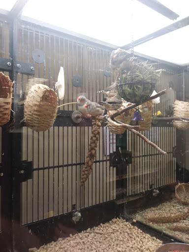 Pet Supply Store «PetSmart», reviews and photos, 60 NJ-17, Paramus, NJ 07652, USA