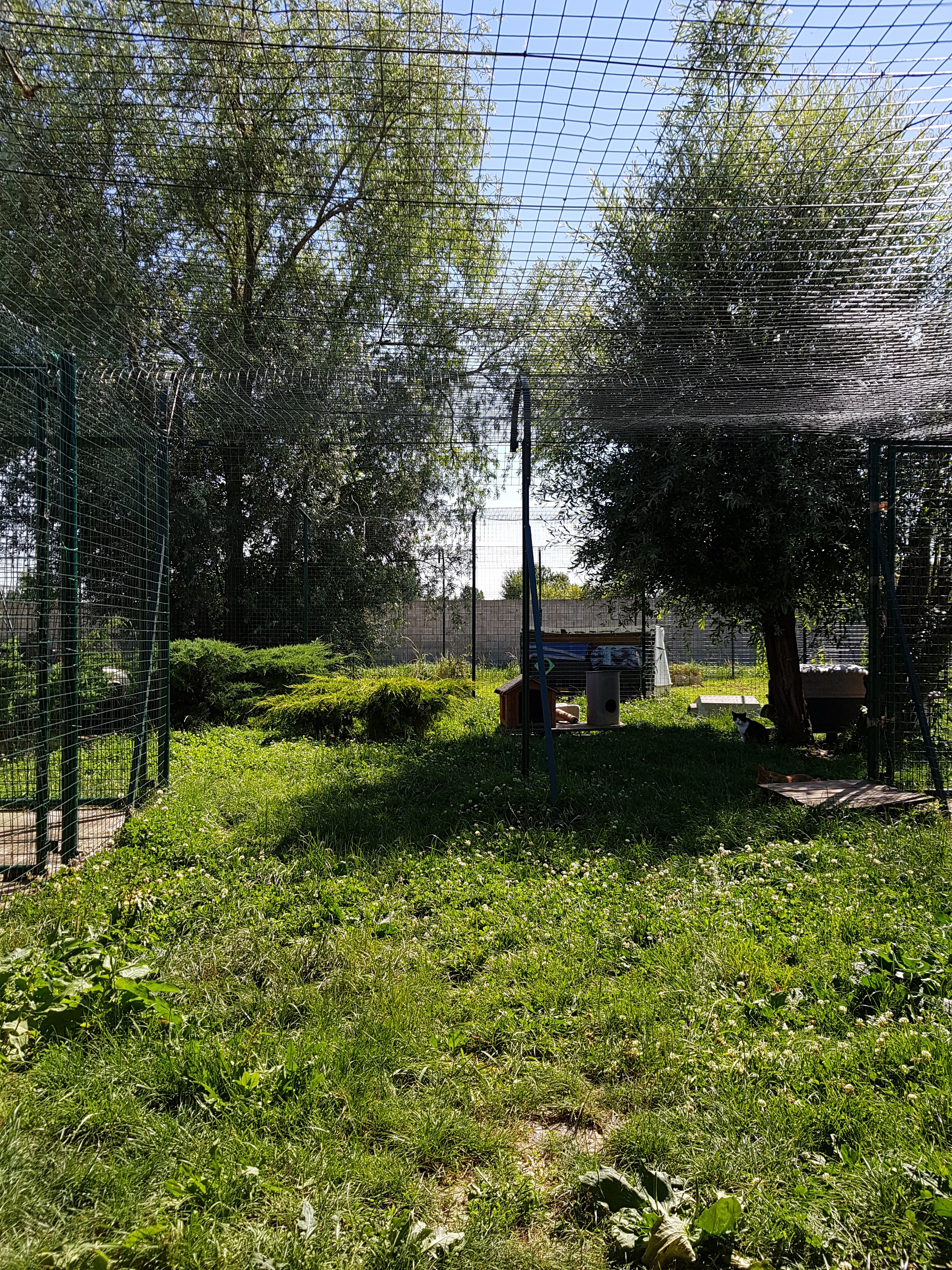 Photo n° 1 de l'avis de Twix. fait le 02/07/2018 à 16:24