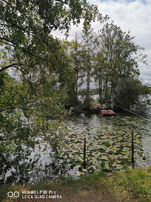 Étang de Saint-Émiland à Saint-Émiland