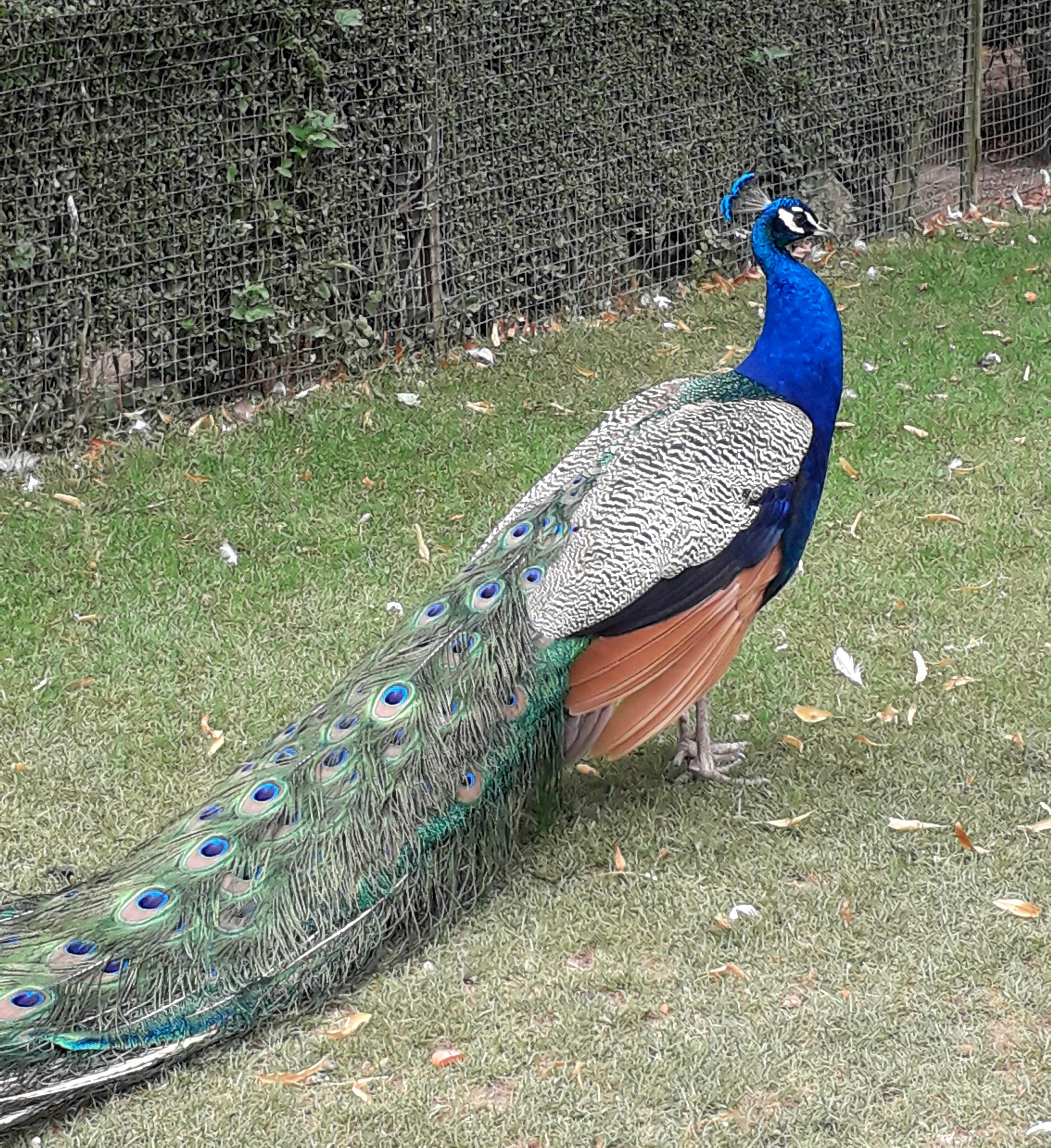 Photo n° 27 de l'avis de Le.o fait le 22/07/2022 à 15:09