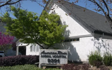 VCA American River Animal Hospital image