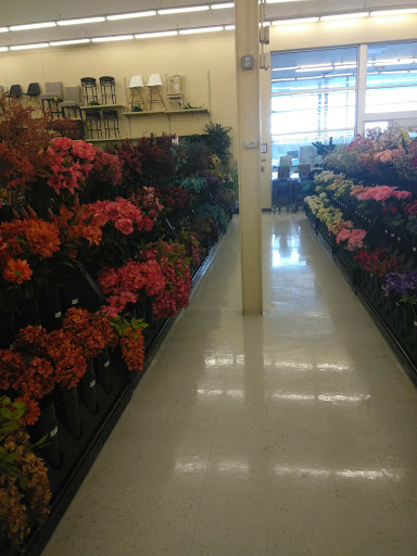 Craft Store «Hobby Lobby», reviews and photos, 6797 E Genesee St, Fayetteville, NY 13066, USA