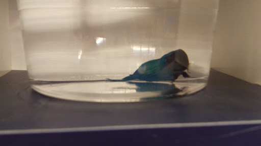 Pet Supply Store «Petco Animal Supplies», reviews and photos, 4665 Garth Rd #400, Baytown, TX 77521, USA