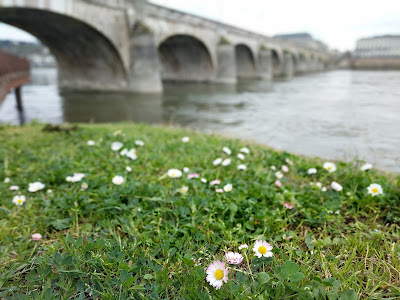 Ciseaux de Loire à Saumur