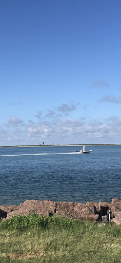 Explore danish tattoo ideas, creative tattoo ideas in South Padre Island, available at Peggys Temporary & Permanent Tattoos