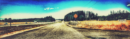 Natural History Museum «Rice Northwest Museum of Rocks & Minerals», reviews and photos, 26385 NW Groveland Dr, Hillsboro, OR 97124, USA