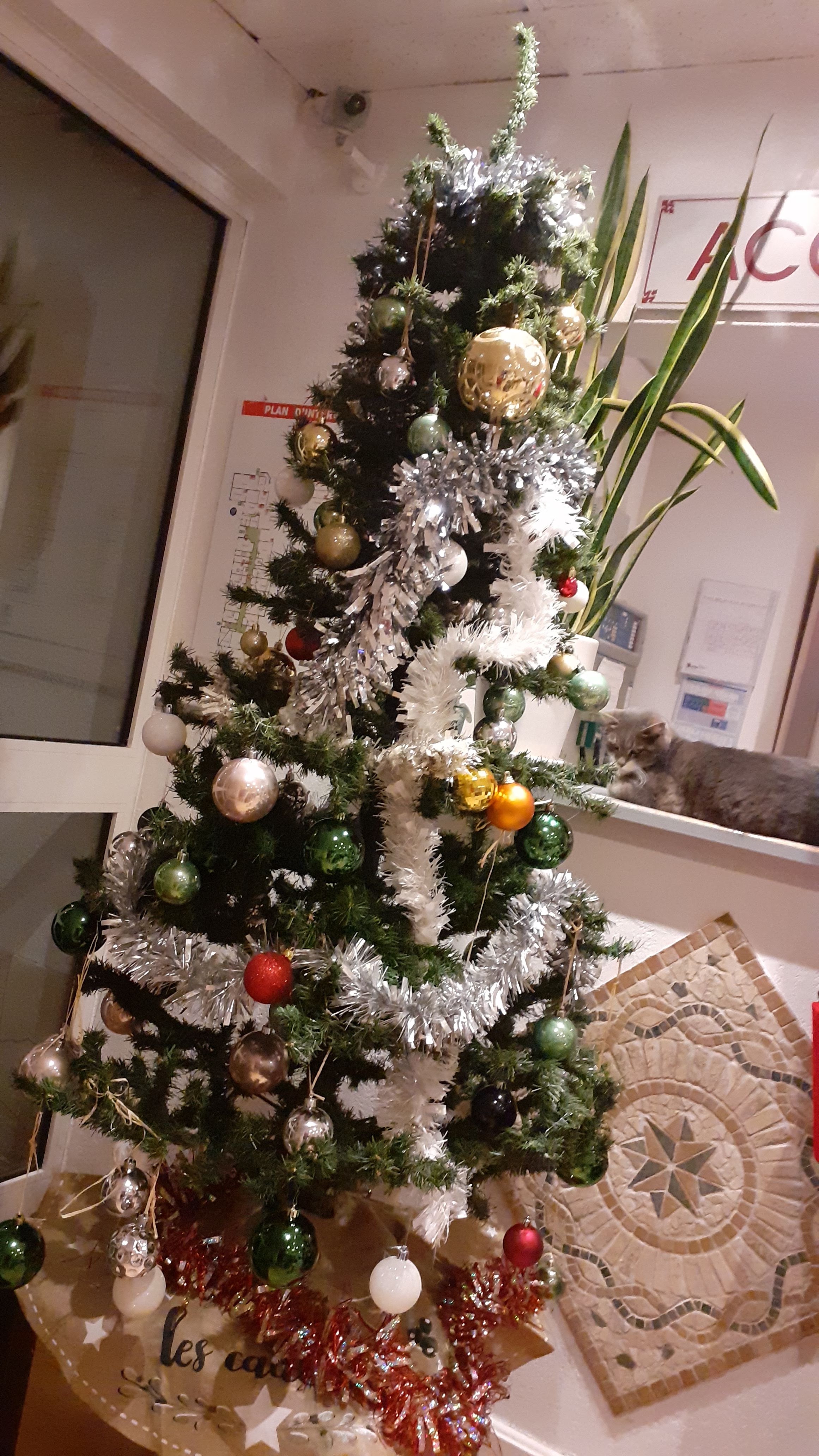 Photo n° 2 de l'avis de Lucile.a fait le 20/01/2024 à 20:12