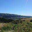 Wilf Mexted Scenic Reserve