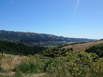 Wilf Mexted Scenic Reserve