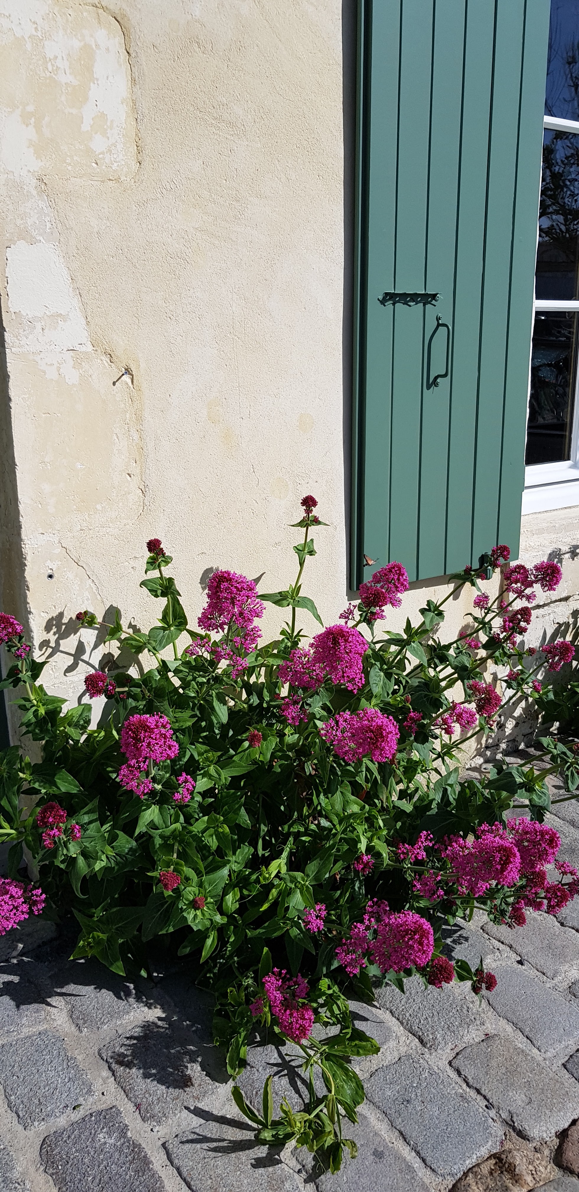 Photo n° 1 de l'avis de François.e fait le 17/04/2019 à 06:19