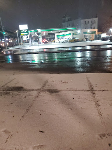 Park «Virginia Park», reviews and photos, 1878 Cross Bronx Expy, Bronx, NY 10472, USA