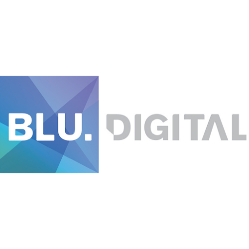 Blu Digital Recruitment - London