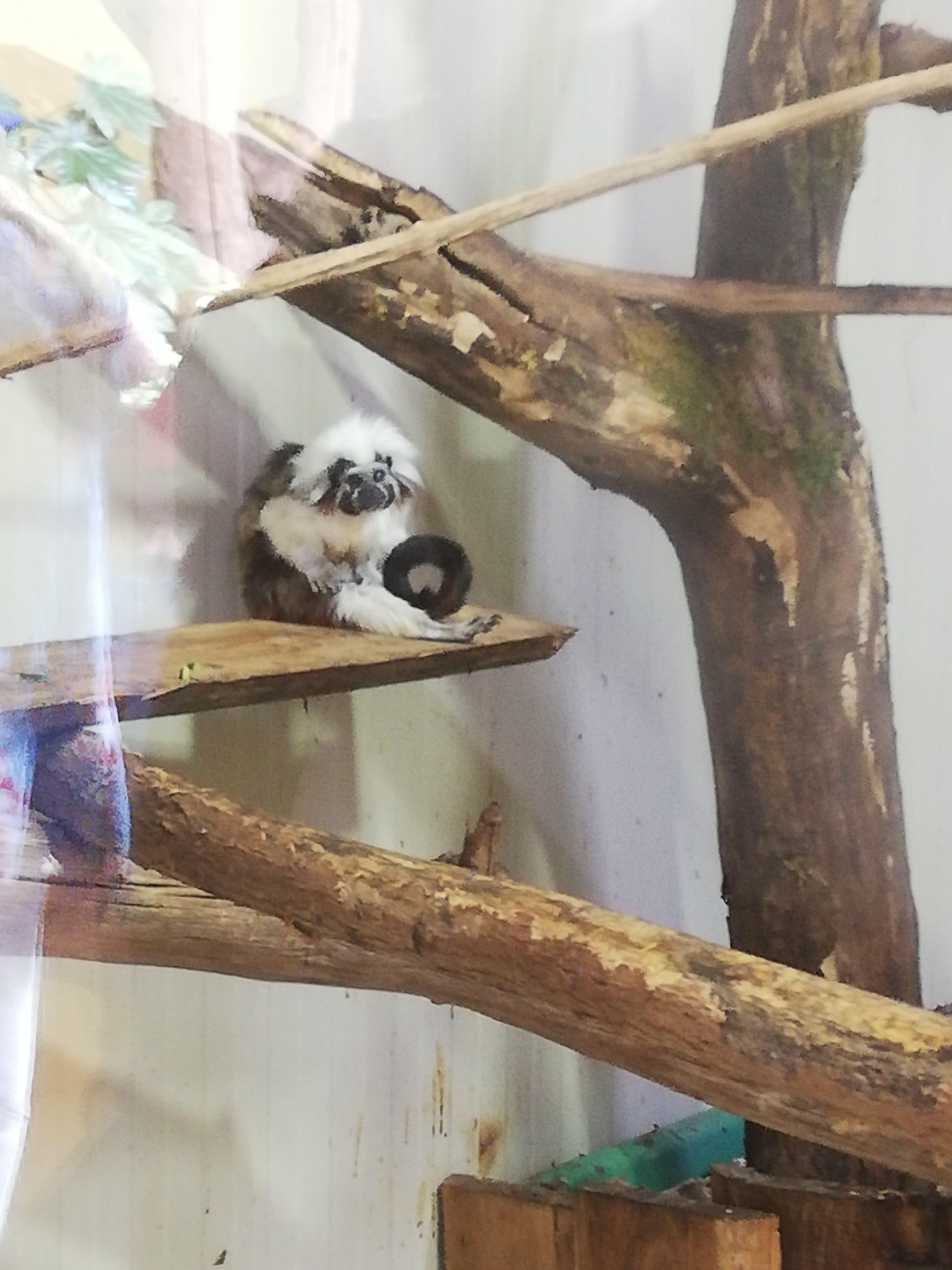 Photo n° 15 de l'avis de Soleil. fait le 20/08/2020 à 12:36