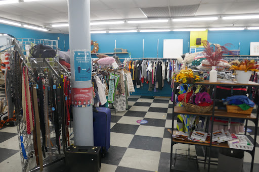 Thrift Store «Boomerangs Jamaica Plain», reviews and photos, 716 Centre St, Jamaica Plain, MA 02130, USA