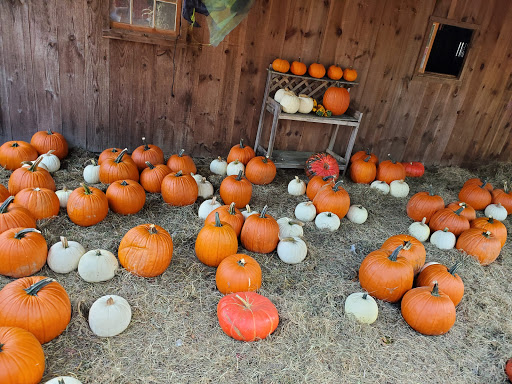 Farm «B & B Flower Farm», reviews and photos, 668 Jones Hill Rd, West Haven, CT 06516, USA