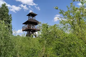 Observation Tower image