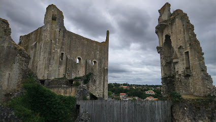 Cité Médiévale de Chauvigny