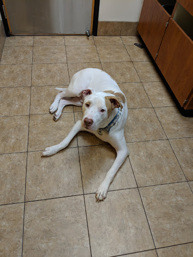 Pet Supply Store «PetSmart», reviews and photos, 1515 US-22, Watchung, NJ 07069, USA