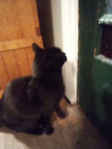 Pet Supply Store «PetSmart», reviews and photos, 985 Erica Ln, Yorkville, IL 60560, USA