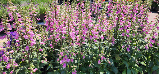 Home Improvement Store «The Home Depot», reviews and photos, 9300 SE 82nd Ave, Happy Valley, OR 97086, USA