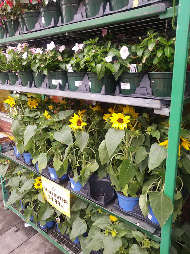 Grocery Store «Foodtown of Hewlett», reviews and photos, 1368 Peninsula Blvd, Hewlett, NY 11557, USA