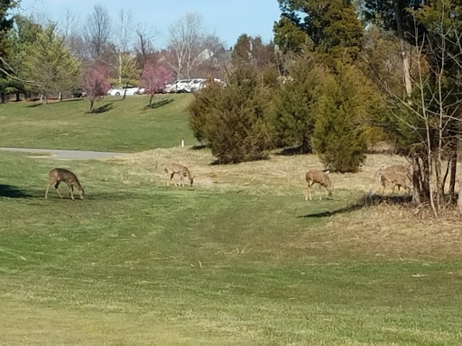 Golf Course «South Riding Golf Club», reviews and photos, 43237 Golf View Dr, Chantilly, VA 20152, USA