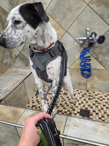 Pet Supply Store «Care-A-Lot Pet Supply», reviews and photos, 1924 Diamond Springs Rd, Virginia Beach, VA 23455, USA