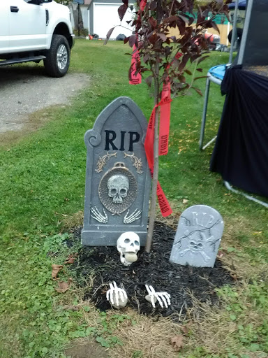 Home Goods Store «Dollar General», reviews and photos, 2649 Main St, Whitney Point, NY 13862, USA