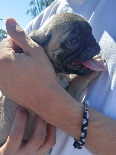 Pet Supply Store «Petco Animal Supplies», reviews and photos, 7308 Alameda St, Walnut Park, CA 90255, USA