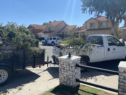 Robles Tree Service & Landscaping