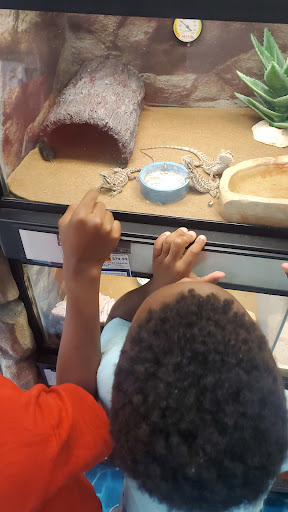 Pet Supply Store «Petco Animal Supplies», reviews and photos, 550 Providence Hwy, Dedham, MA 02026, USA