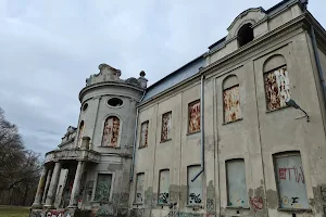 Pałac Granowskich w Nowym Mieście image