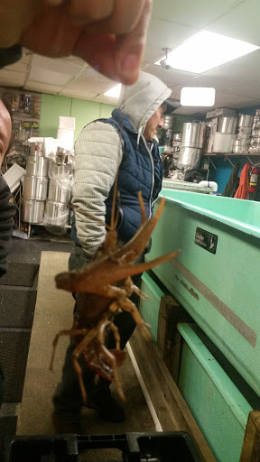 Seafood Market «Mekong Market», reviews and photos, 314 Broad St, Providence, RI 02907, USA