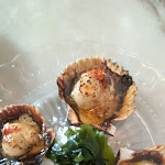 Photo n°2 de l'avis de ceren.a fait le 18/04/2024 à 15:43 sur le  Taberna da Rua das Flores à Lisbon