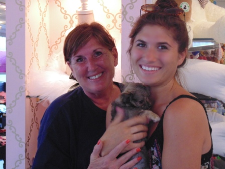 Pet Store «Puppy Boutique Store», reviews and photos, 4001 N Federal Hwy, Fort Lauderdale, FL 33308, USA