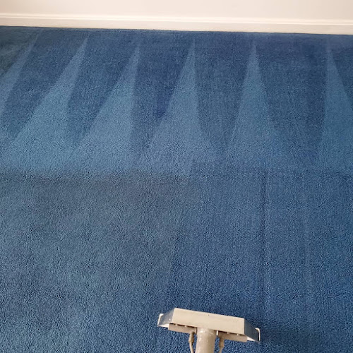 Carpet Cleaning Swindon, Bristol, Cleaners, Cleaning Services | Carpet cleaning Swindon and bristol - Swindon