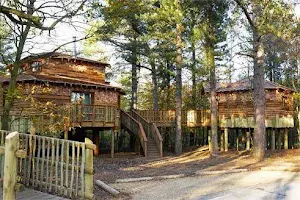 The Treehouses image