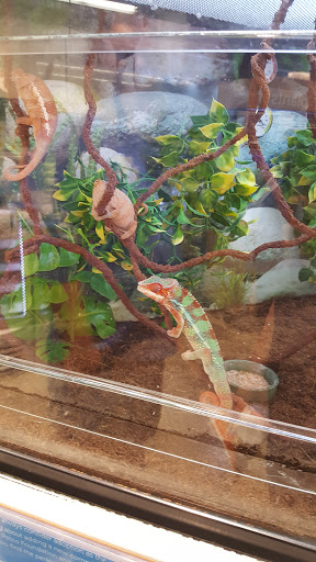 Pet Supply Store «Petco Animal Supplies», reviews and photos, 12611 Jefferson Davis Hwy, Chester, VA 23831, USA