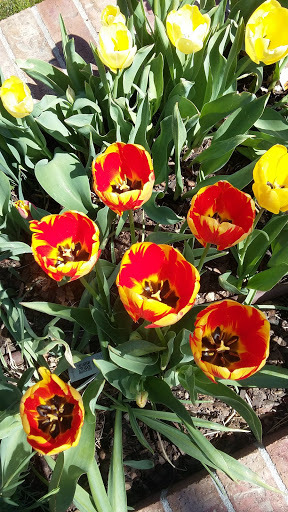 Park «Observatory Park», reviews and photos, 2100 S Fillmore St, Denver, CO 80210, USA