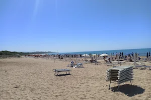 Spiaggia La PINETA image