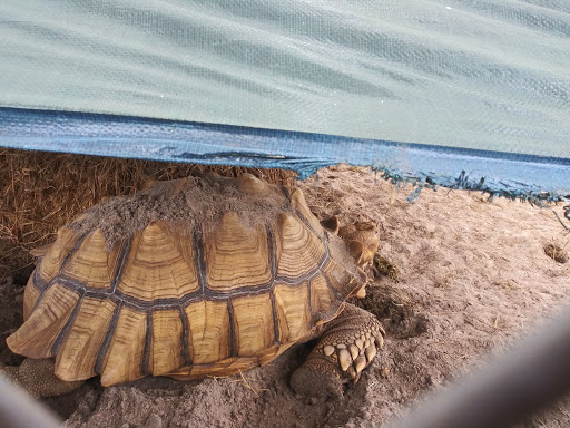 Zoo «Petting zoo Ocala», reviews and photos, 11150 FL-40, Ocala, FL 34482, USA