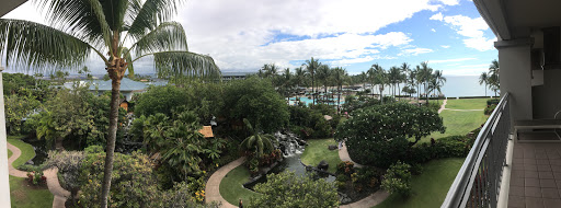 Travel Agency «Hawaiian Travel», reviews and photos, 5005 W Royal Ln #294, Irving, TX 75063, USA