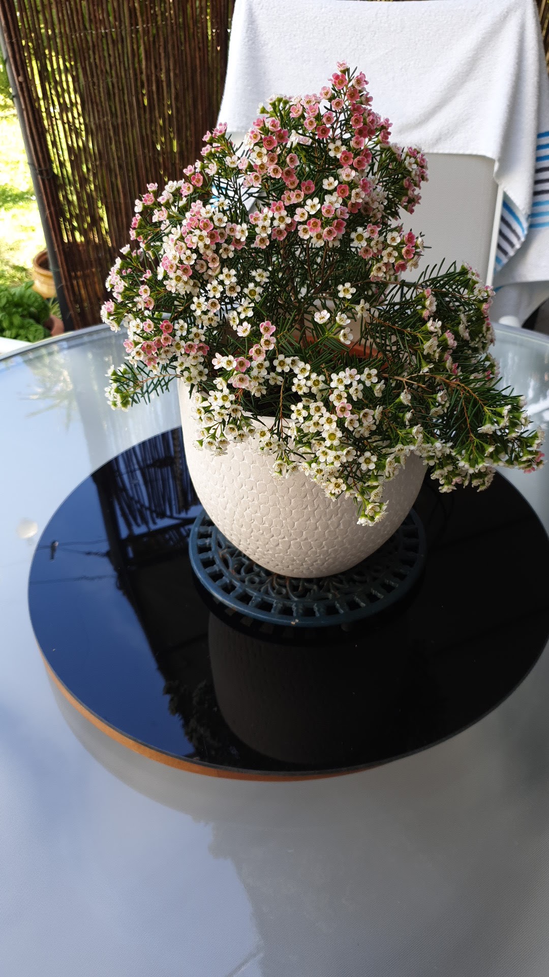 Photo n° 1 de l'avis de Denise.a fait le 28/04/2019 à 13:06