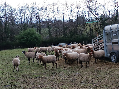 Bois La Sapinière à Villars