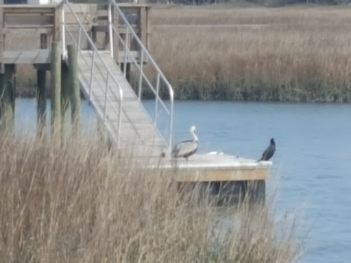 Park «Sanford D. Cox, Sr. Community Park», reviews and photos, 470 Elizabeth Dr, Murrells Inlet, SC 29576, USA