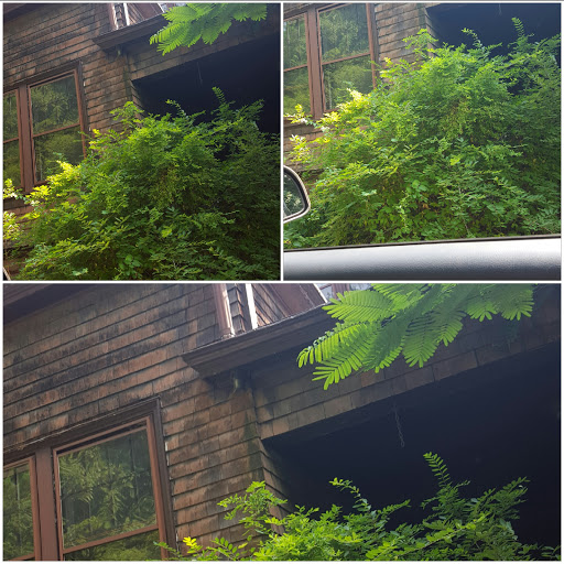 Museum «Hiram Blauvelt Art Museum», reviews and photos, 705 Kinderkamack Rd, Oradell, NJ 07649, USA